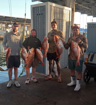 Red Snapper Bliss In Galveston!